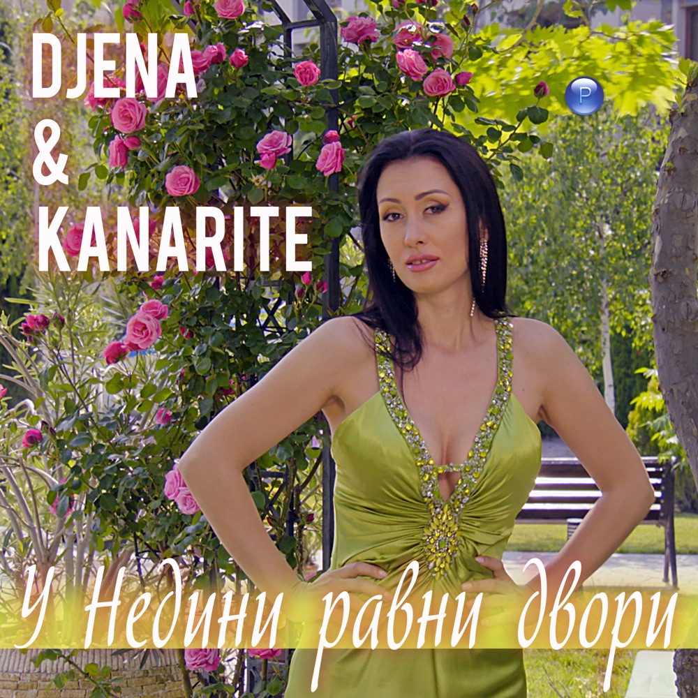 У НЕДИНИ РАВНИ ДВОРИ